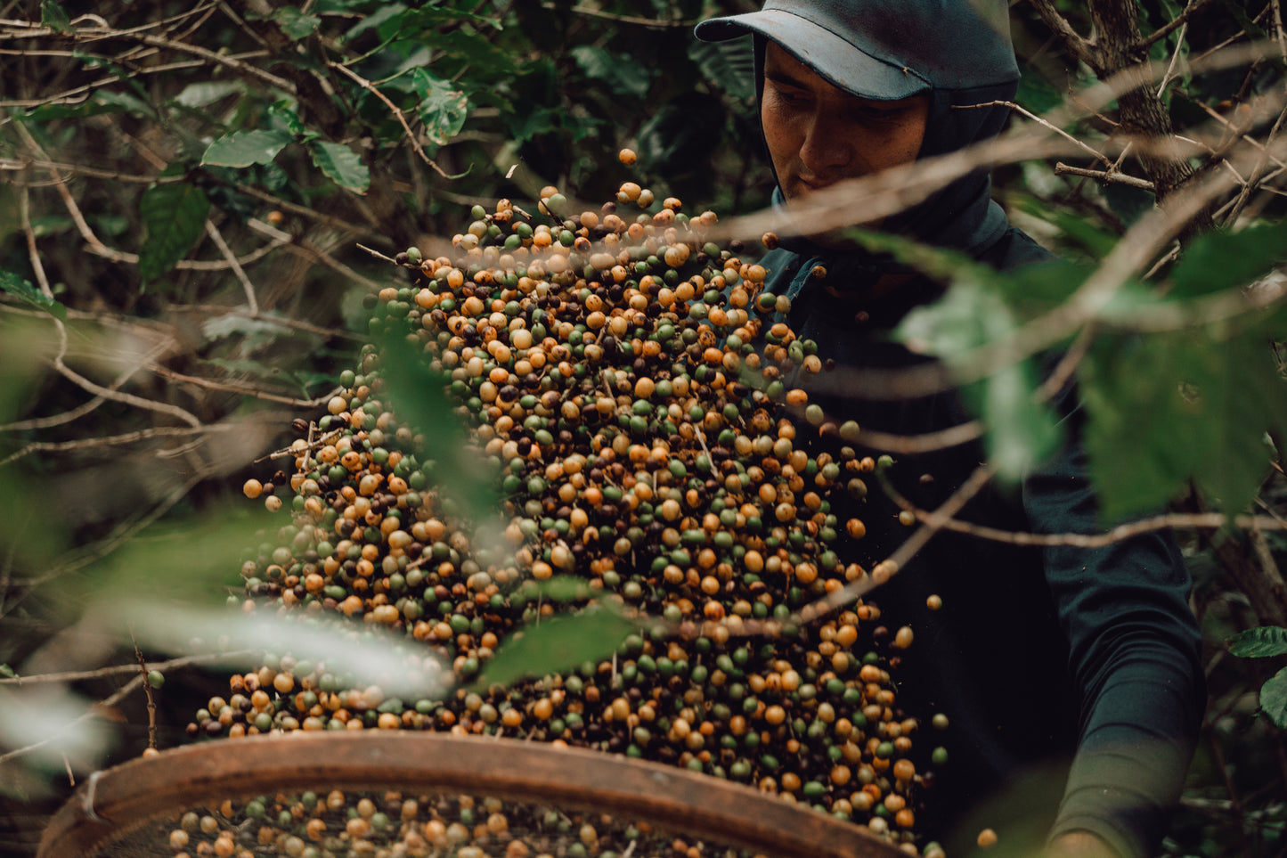 TIERRA TUCÁN Brasil
