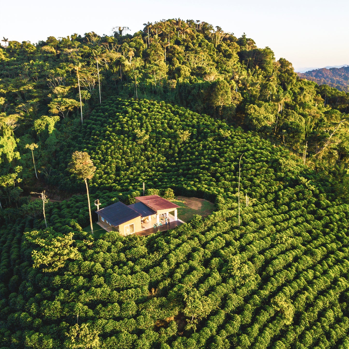 FINCA LAS ALASITAS Bolivia