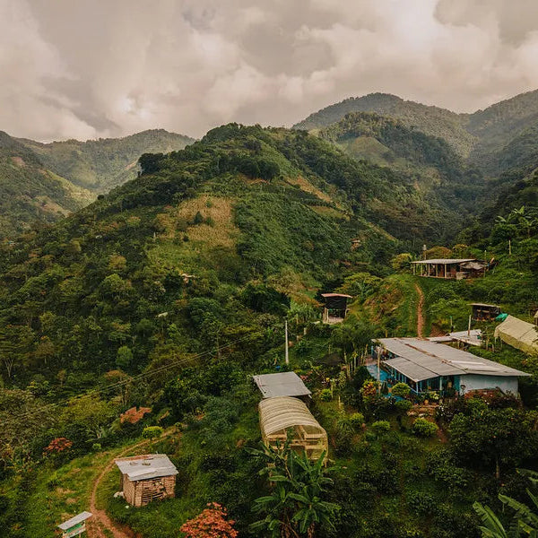 LA GAITANIA Colombia